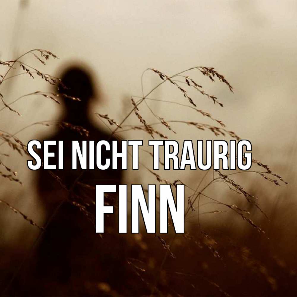 Открытка на каждый день с именем, Finn Sei nicht traurig грусть Прикольная открытка с пожеланием онлайн скачать бесплатно 