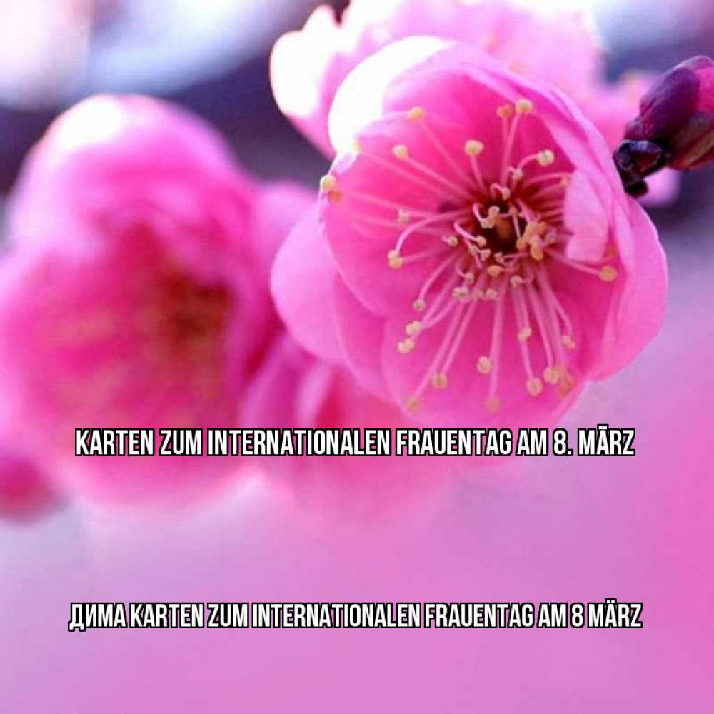 Картинка Karten zum Internationalen Frauentag am 8. März, Дима