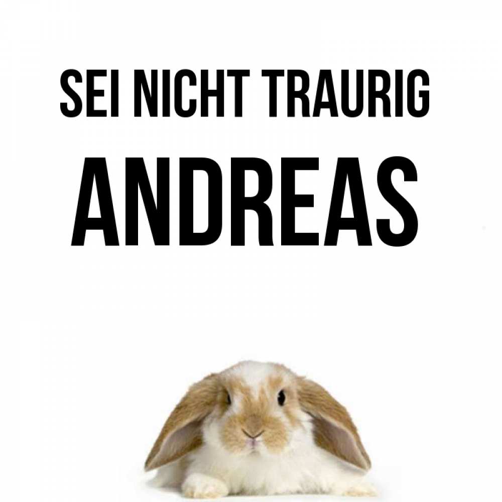 Открытка на каждый день с именем, Andreas Sei nicht traurig коричнево белый заяц с большими ушками Прикольная открытка с пожеланием онлайн скачать бесплатно 