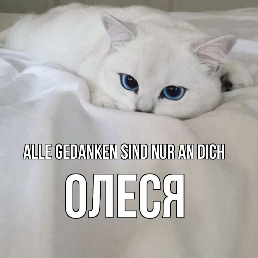 Открытка на каждый день с именем, Олеся Alle Gedanken sind nur an dich я очень по тебе скучаю и тоскую Прикольная открытка с пожеланием онлайн скачать бесплатно 