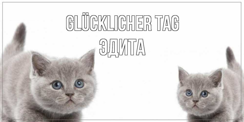 Открытка на каждый день с именем, Эдита Glücklicher Tag открытка с котами Прикольная открытка с пожеланием онлайн скачать бесплатно 
