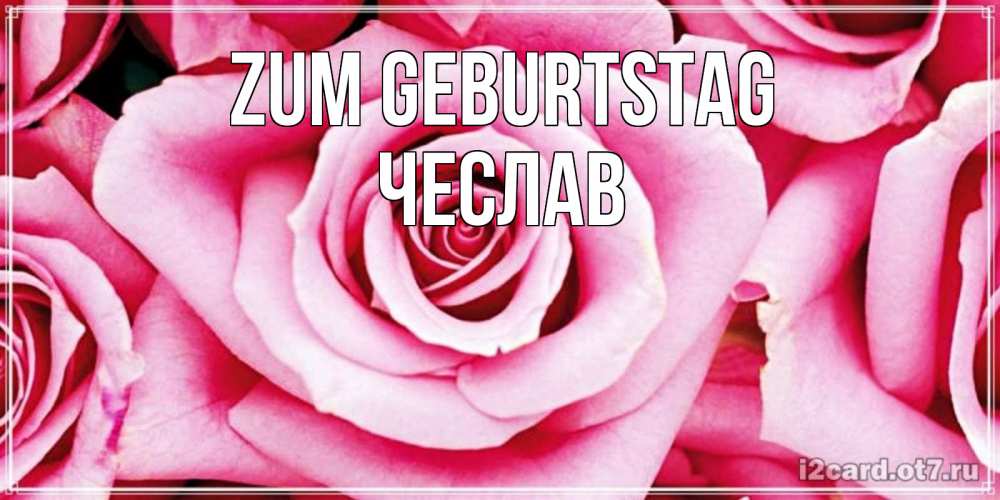 Открытка на каждый день с именем, Чеслав Zum Geburtstag открытка с розовой розой на день рождения Прикольная открытка с пожеланием онлайн скачать бесплатно 