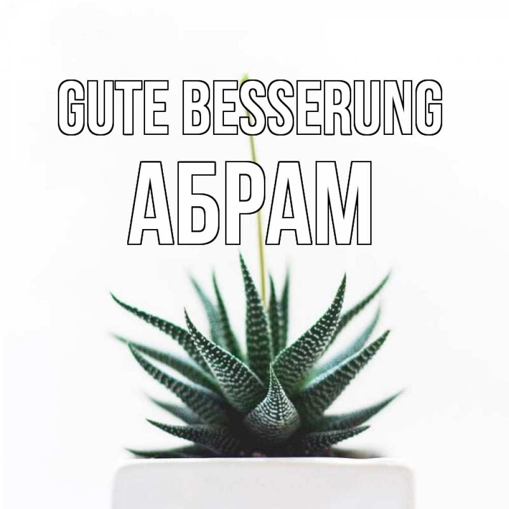 Открытка на каждый день с именем, Абрам Gute Besserung короче это непонятная колючка Прикольная открытка с пожеланием онлайн скачать бесплатно 