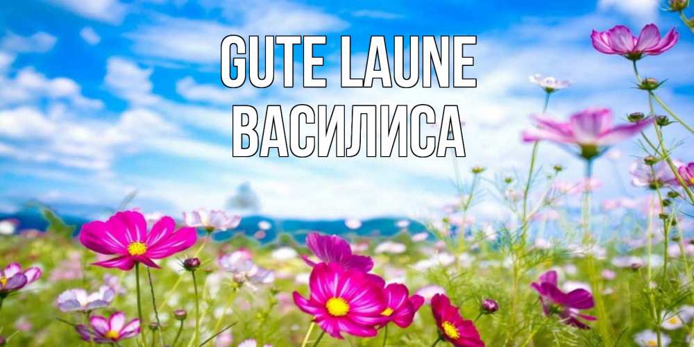 Открытка на каждый день с именем, Василиса Gute Laune поле цветов Прикольная открытка с пожеланием онлайн скачать бесплатно 
