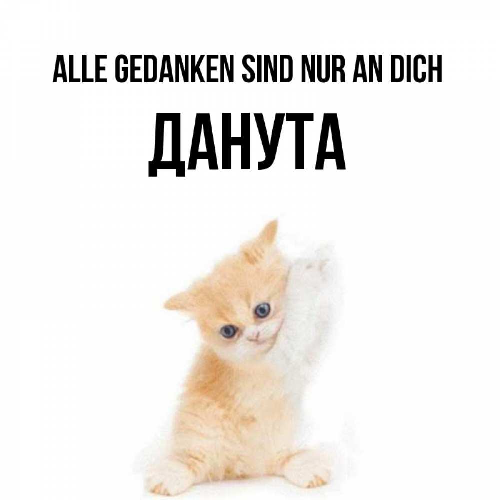 Открытка на каждый день с именем, Данута Alle Gedanken sind nur an dich зверушки и милота Прикольная открытка с пожеланием онлайн скачать бесплатно 