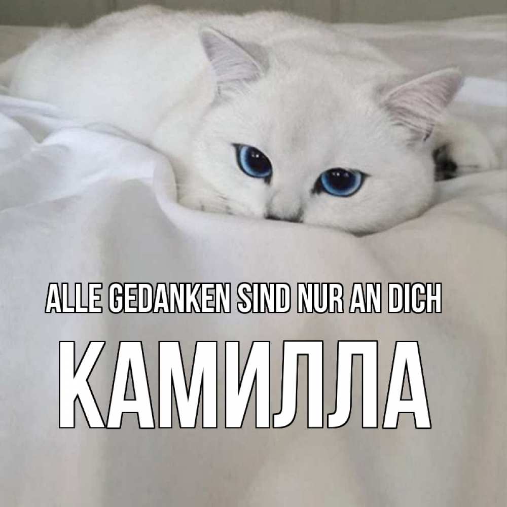 Открытка на каждый день с именем, Камилла Alle Gedanken sind nur an dich я очень по тебе скучаю и тоскую Прикольная открытка с пожеланием онлайн скачать бесплатно 