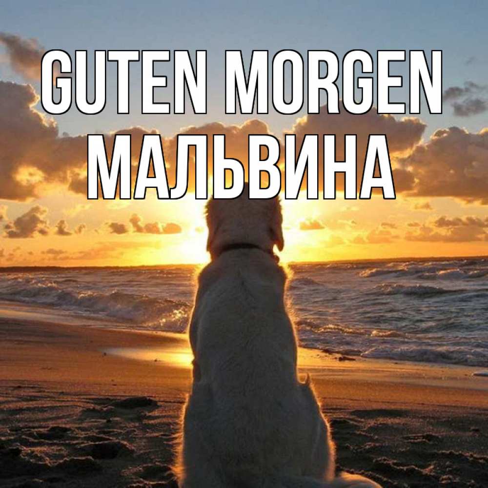 Открытка на каждый день с именем, Мальвина Guten Morgen восход солнца Прикольная открытка с пожеланием онлайн скачать бесплатно 