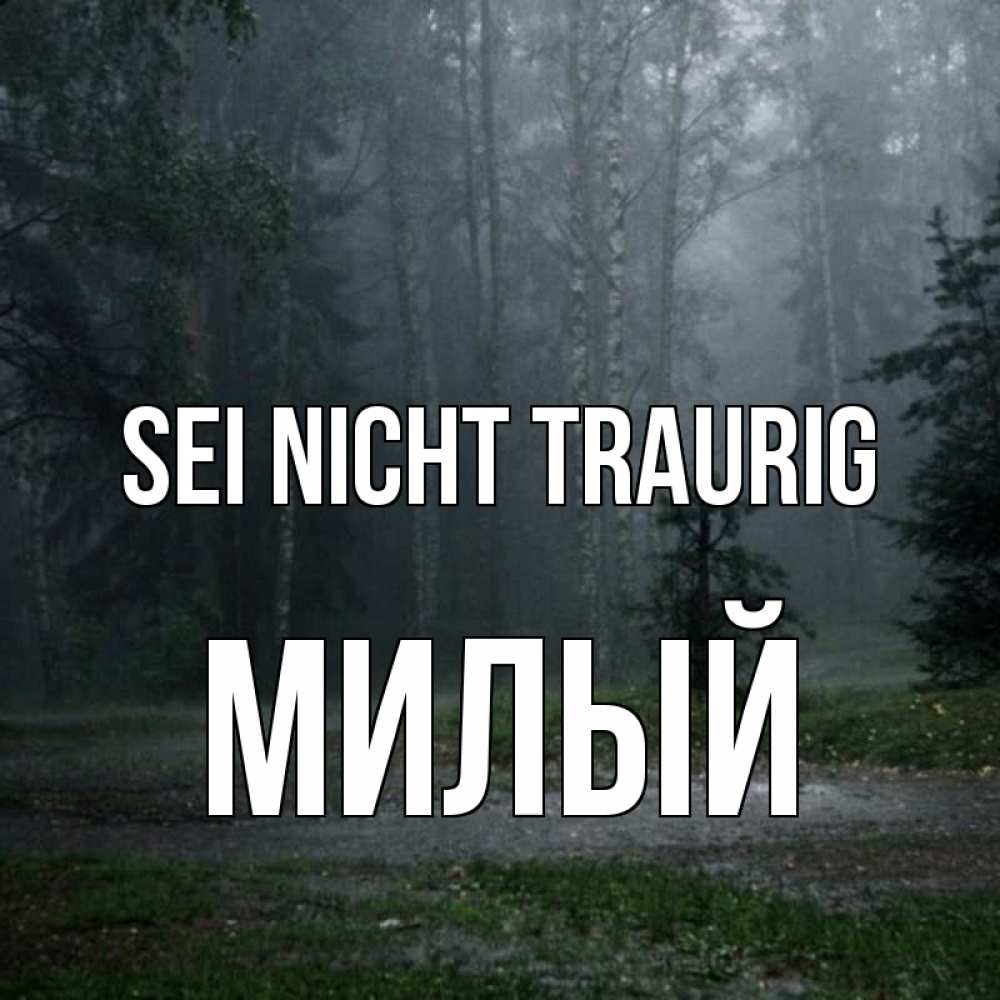 Открытка на каждый день с именем, Милый Sei nicht traurig осень Прикольная открытка с пожеланием онлайн скачать бесплатно 