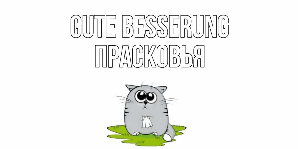 Открытка на каждый день с именем, Прасковья Gute Besserung кот и открытки про выздоровление Прикольная открытка с пожеланием онлайн скачать бесплатно 