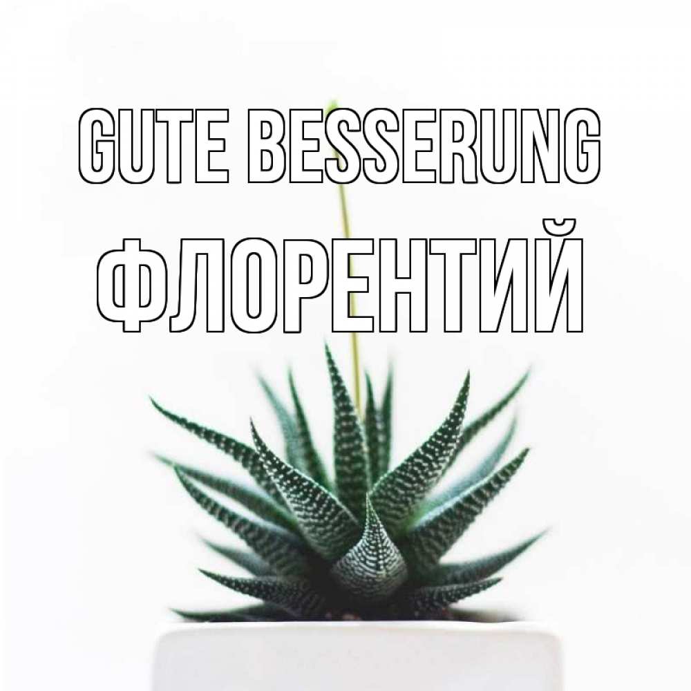 Открытка на каждый день с именем, Флорентий Gute Besserung короче это непонятная колючка Прикольная открытка с пожеланием онлайн скачать бесплатно 