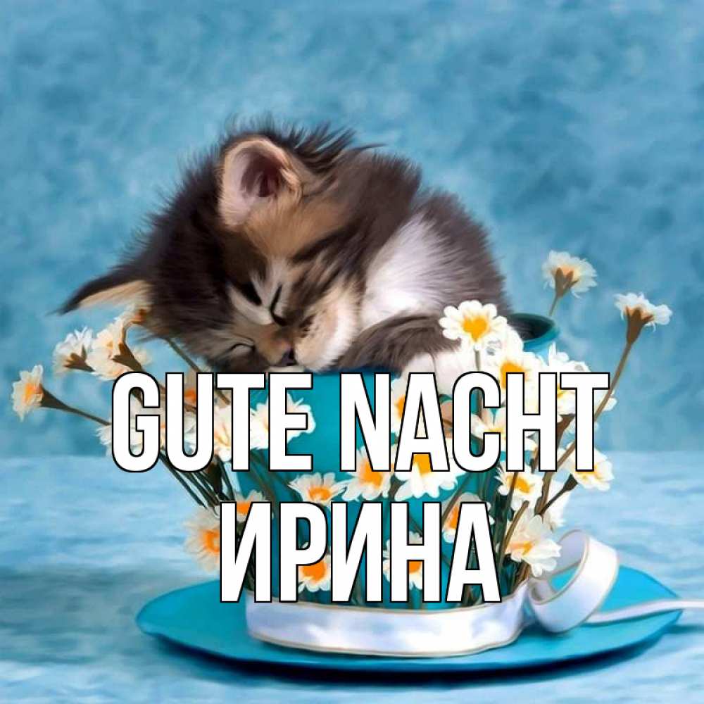 Открытка на каждый день с именем, Ирина Gute Nacht котенок спит в кружке с блюдцем Прикольная открытка с пожеланием онлайн скачать бесплатно 