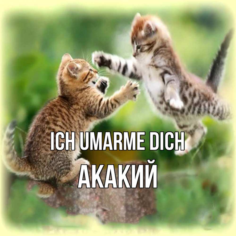Открытка на каждый день с именем, Акакий Ich umarme dich игры котят Прикольная открытка с пожеланием онлайн скачать бесплатно 