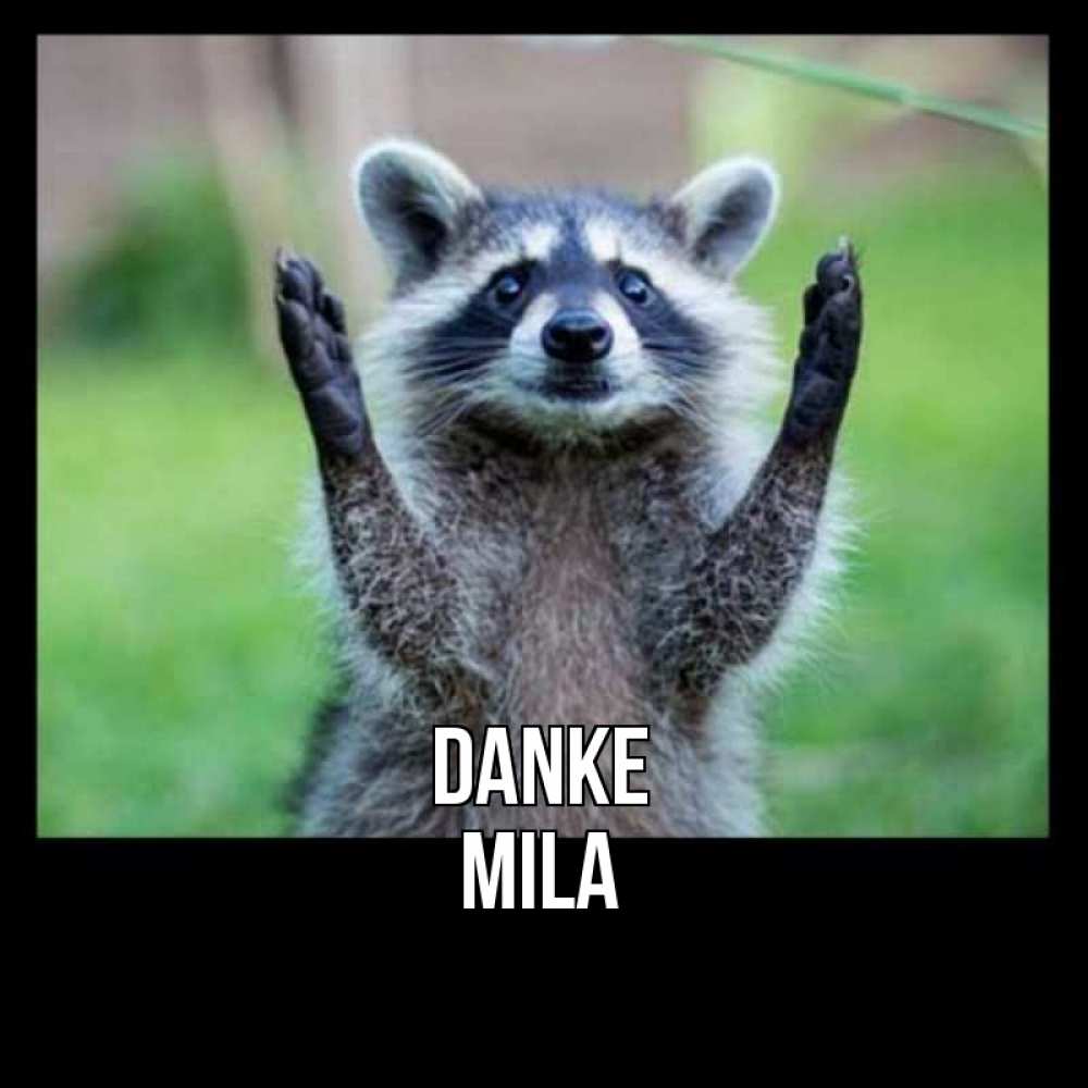 Открытка на каждый день с именем, Mila Danke милые животные Прикольная открытка с пожеланием онлайн скачать бесплатно 