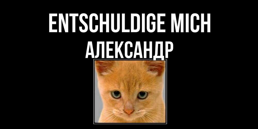 Открытка на каждый день с именем, Александр Entschuldige mich рыжий грустный кот просит прощения Прикольная открытка с пожеланием онлайн скачать бесплатно 