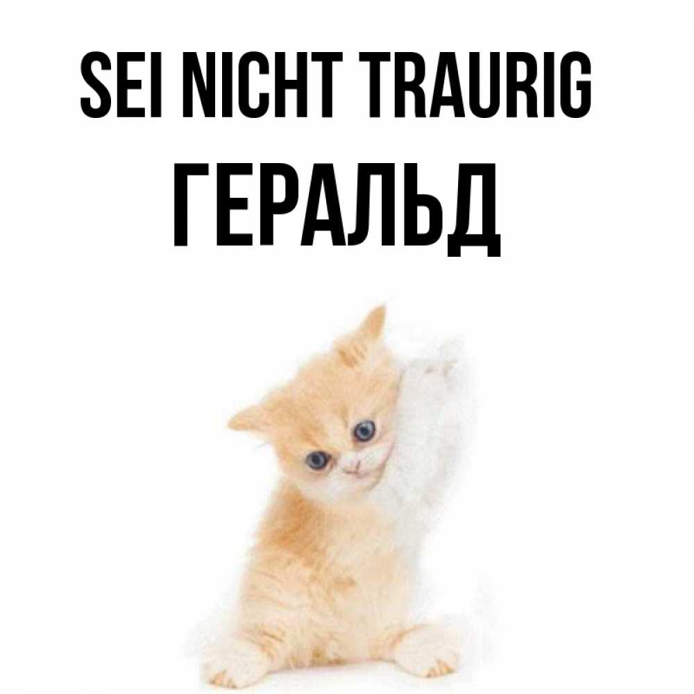 Открытка на каждый день с именем, Геральд Sei nicht traurig просящий кот Прикольная открытка с пожеланием онлайн скачать бесплатно 