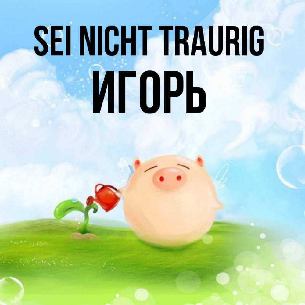 Открытка на каждый день с именем, Игорь Sei nicht traurig поливает цветок порося Прикольная открытка с пожеланием онлайн скачать бесплатно 