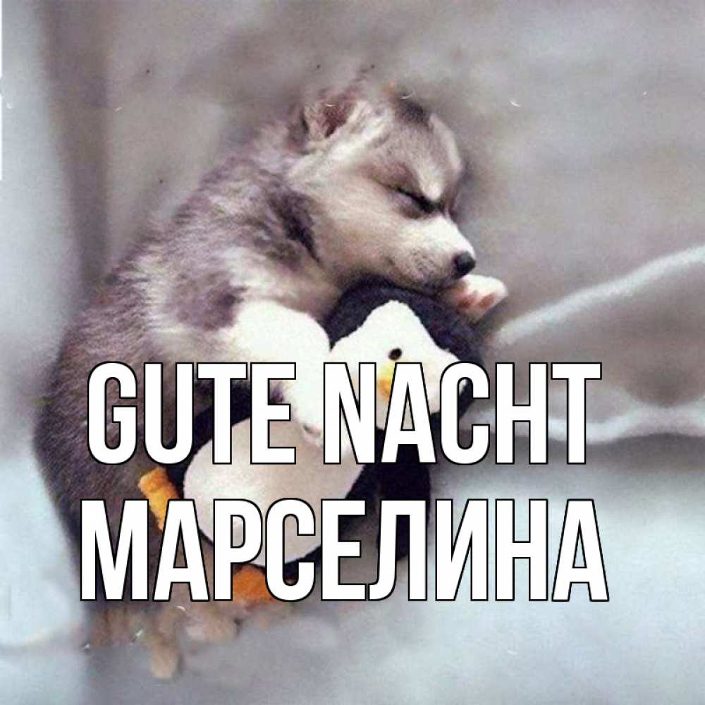 Открытка на каждый день с именем, Марселина Gute Nacht обнимашки щенка и пингвина Прикольная открытка с пожеланием онлайн скачать бесплатно 