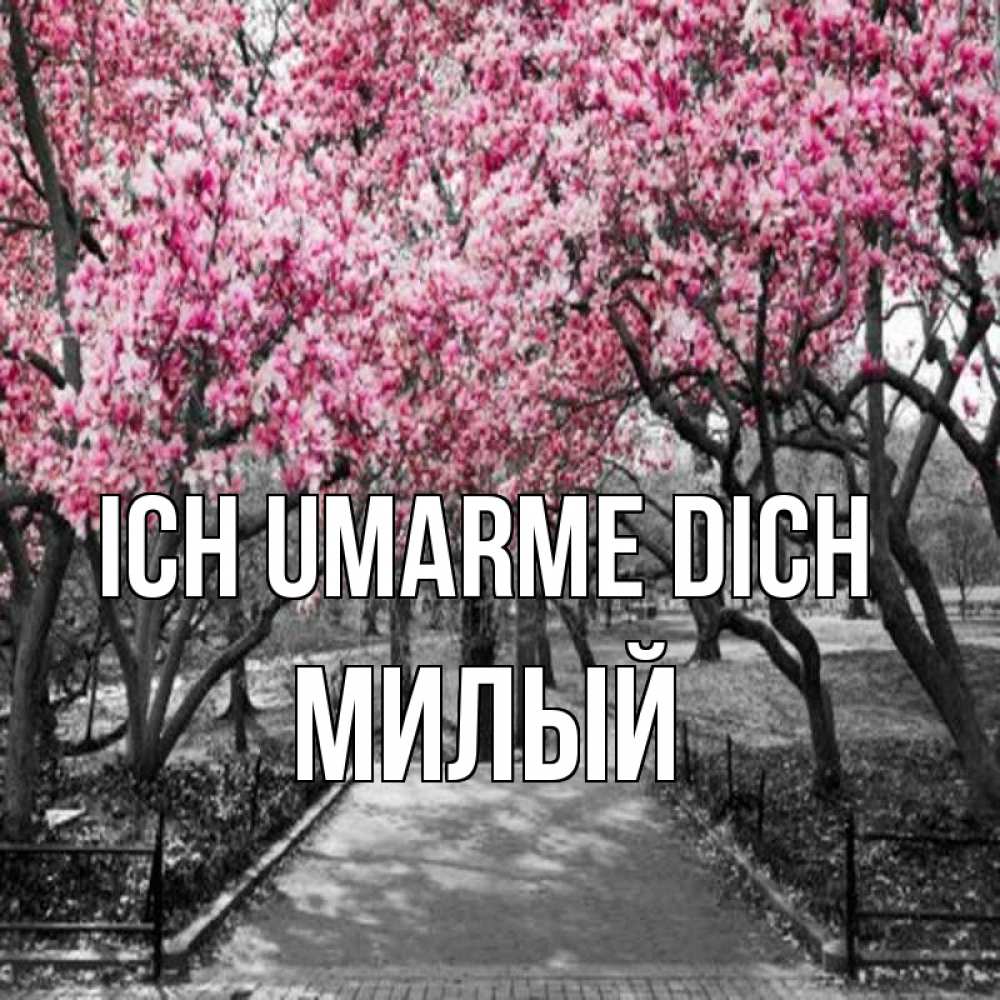 Открытка на каждый день с именем, Милый Ich umarme dich обработанное фото Прикольная открытка с пожеланием онлайн скачать бесплатно 