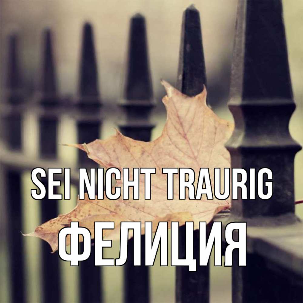 Открытка на каждый день с именем, Фелиция Sei nicht traurig лист клена Прикольная открытка с пожеланием онлайн скачать бесплатно 