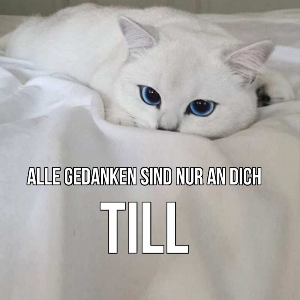 Открытка на каждый день с именем, Till Alle Gedanken sind nur an dich я очень по тебе скучаю и тоскую Прикольная открытка с пожеланием онлайн скачать бесплатно 