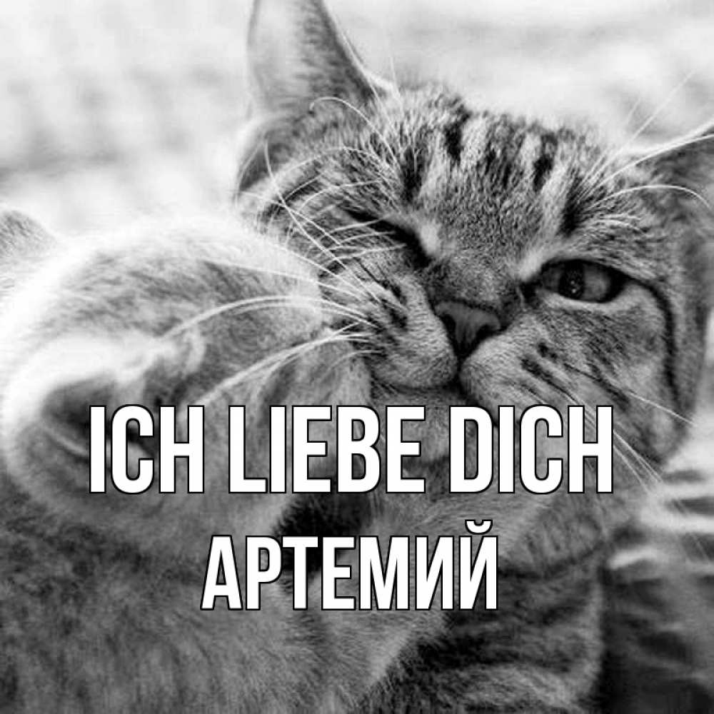 Открытка на каждый день с именем, Артемий Ich liebe dich коты Прикольная открытка с пожеланием онлайн скачать бесплатно 