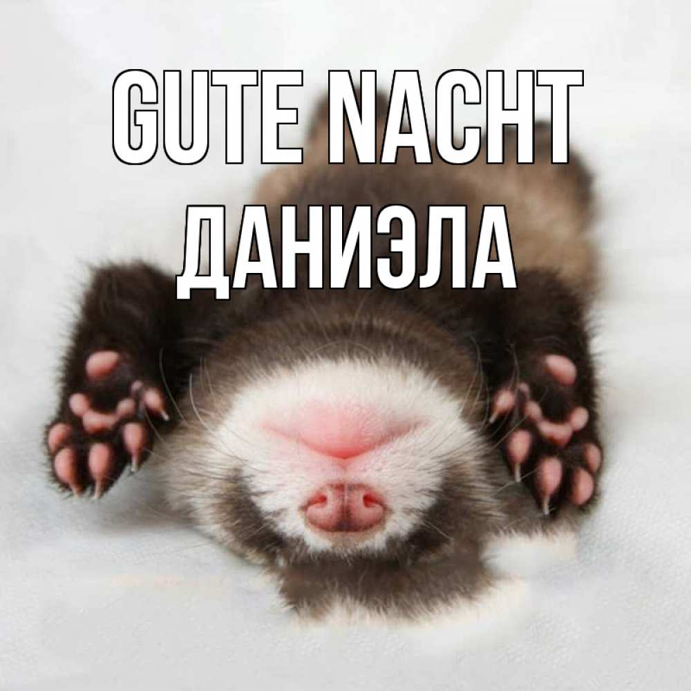 Открытка на каждый день с именем, Даниэла Gute Nacht зверек Прикольная открытка с пожеланием онлайн скачать бесплатно 