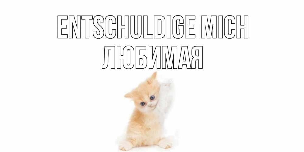 Открытка на каждый день с именем, Любимая Entschuldige mich кот Прикольная открытка с пожеланием онлайн скачать бесплатно 