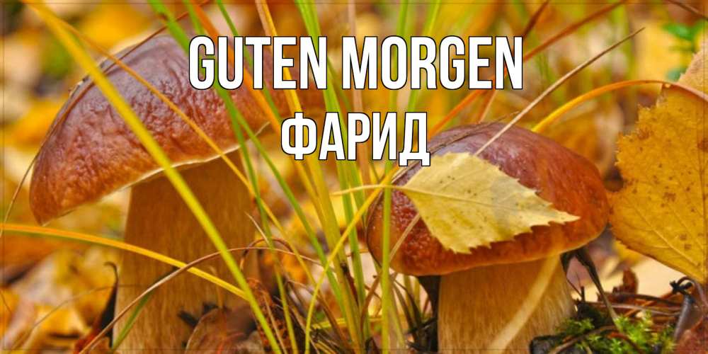 Открытка на каждый день с именем, Фарид Guten Morgen осенние грибы Прикольная открытка с пожеланием онлайн скачать бесплатно 