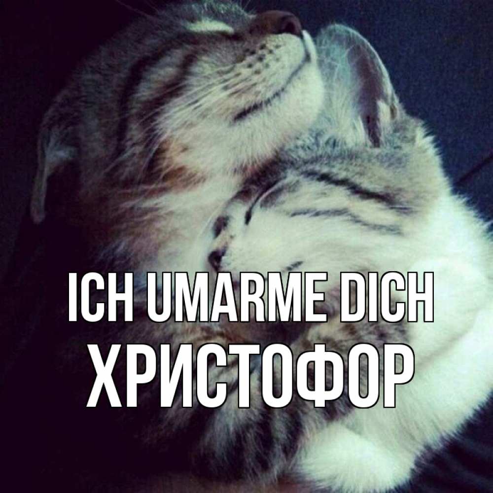 Открытка на каждый день с именем, Христофор Ich umarme dich полосатики Прикольная открытка с пожеланием онлайн скачать бесплатно 