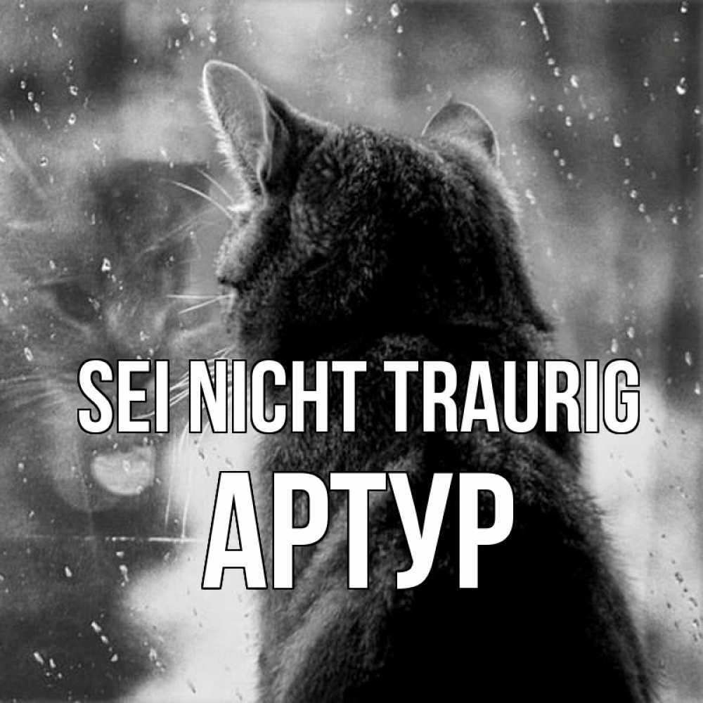 Открытка на каждый день с именем, Артур Sei nicht traurig отражение кота 1 Прикольная открытка с пожеланием онлайн скачать бесплатно 