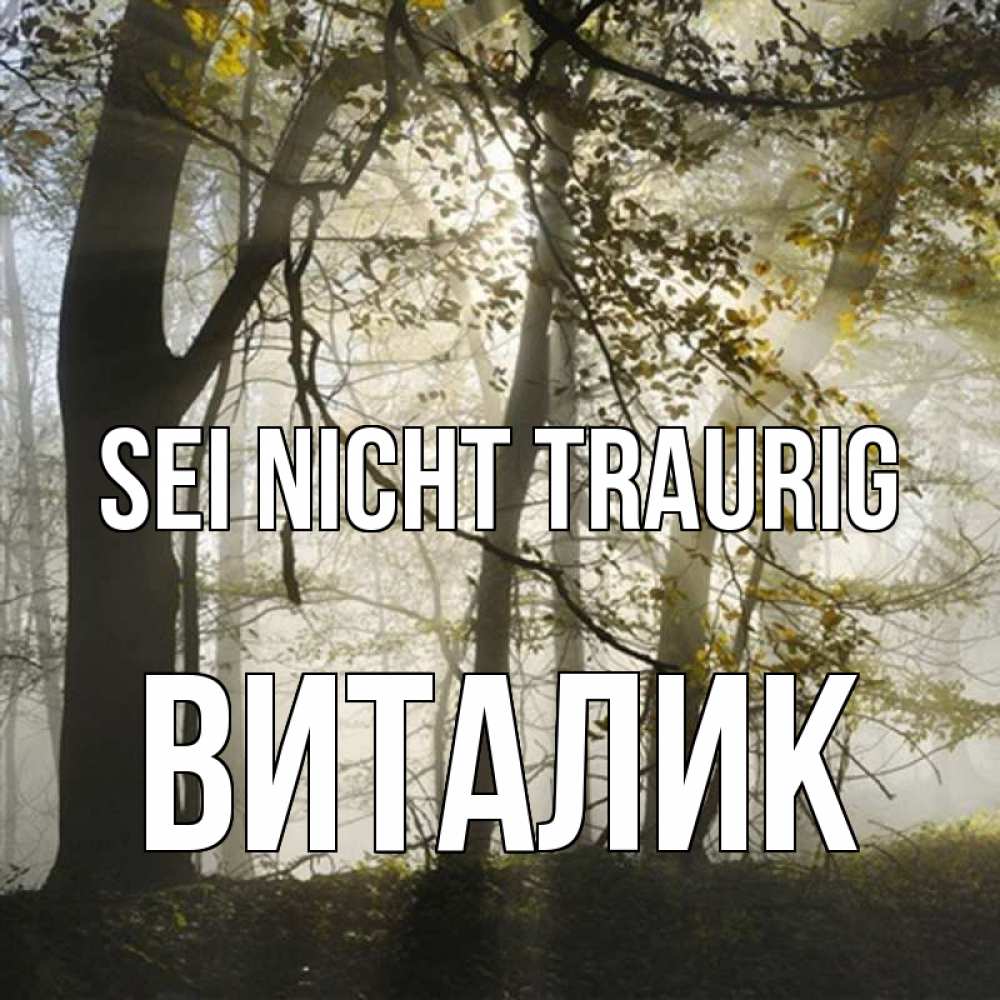 Открытка на каждый день с именем, Виталик Sei nicht traurig лес и свет Прикольная открытка с пожеланием онлайн скачать бесплатно 