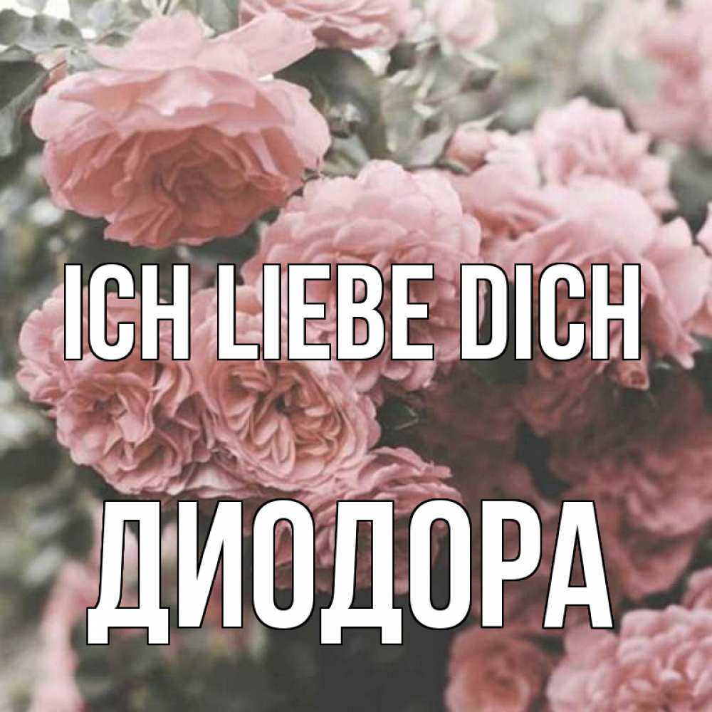 Открытка на каждый день с именем, Диодора Ich liebe dich розы 3 Прикольная открытка с пожеланием онлайн скачать бесплатно 