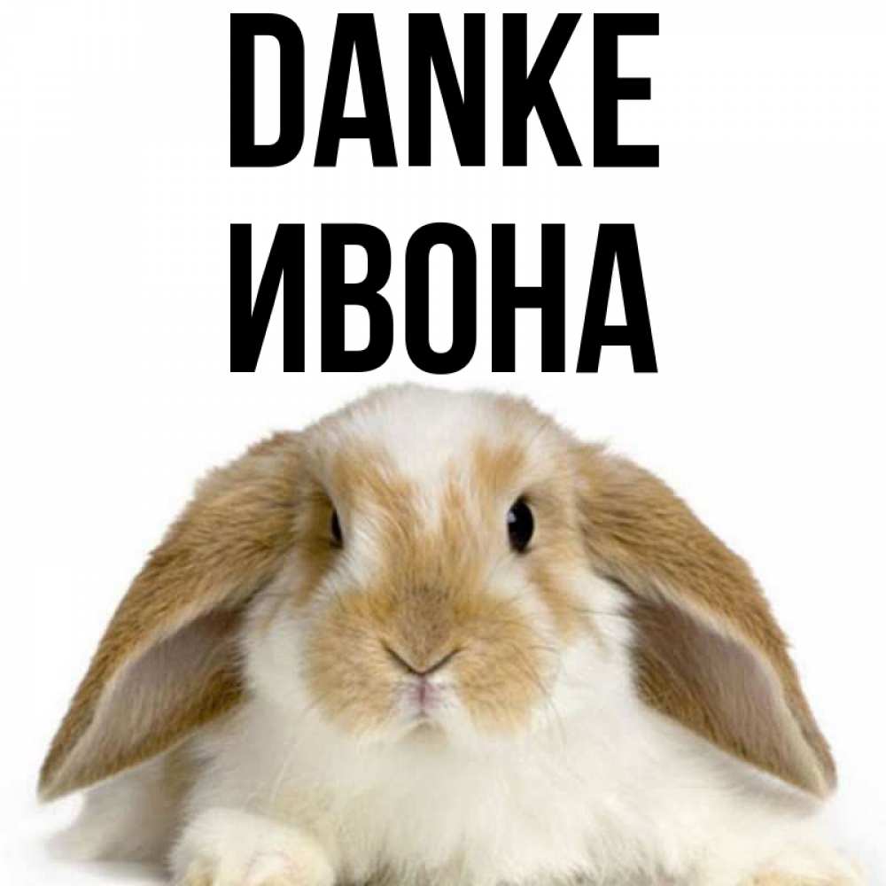 Открытка на каждый день с именем, Ивона Danke коричнево белый заяц Прикольная открытка с пожеланием онлайн скачать бесплатно 