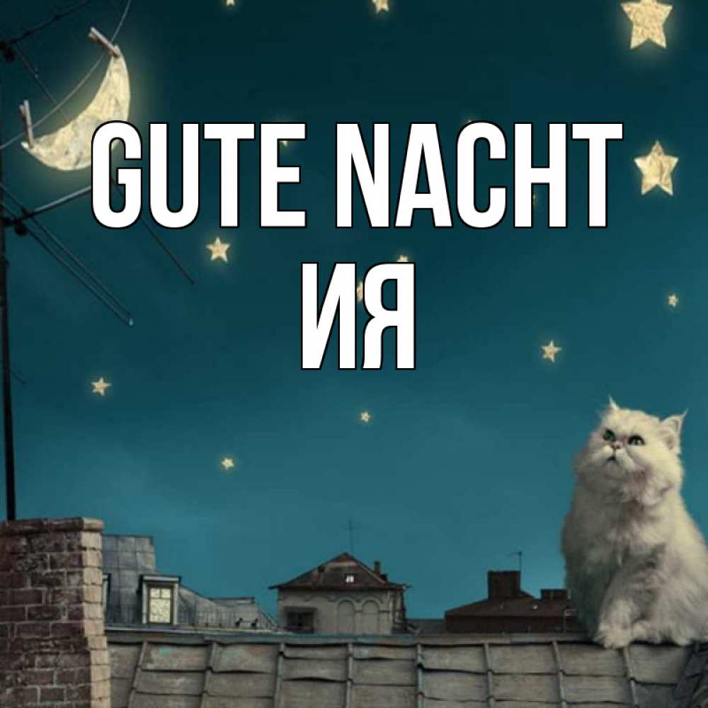 Открытка на каждый день с именем, Ия Gute Nacht белый кот сидит на крыше Прикольная открытка с пожеланием онлайн скачать бесплатно 