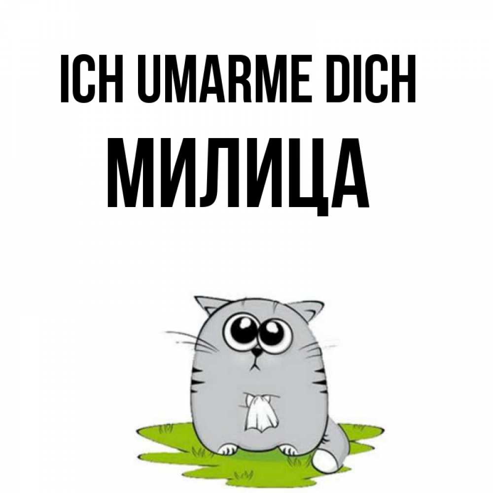 Открытка на каждый день с именем, Милица Ich umarme dich котик теребит платочек сидя на травке Прикольная открытка с пожеланием онлайн скачать бесплатно 