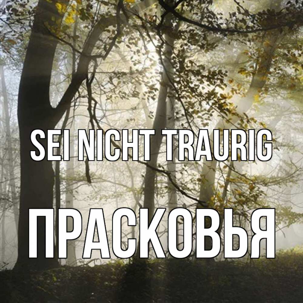 Открытка на каждый день с именем, Прасковья Sei nicht traurig лес и свет Прикольная открытка с пожеланием онлайн скачать бесплатно 