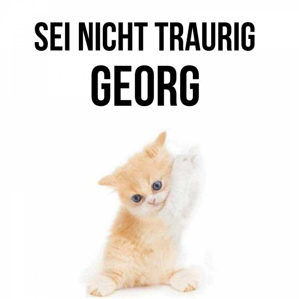 Открытка на каждый день с именем, Georg Sei nicht traurig просящий кот Прикольная открытка с пожеланием онлайн скачать бесплатно 