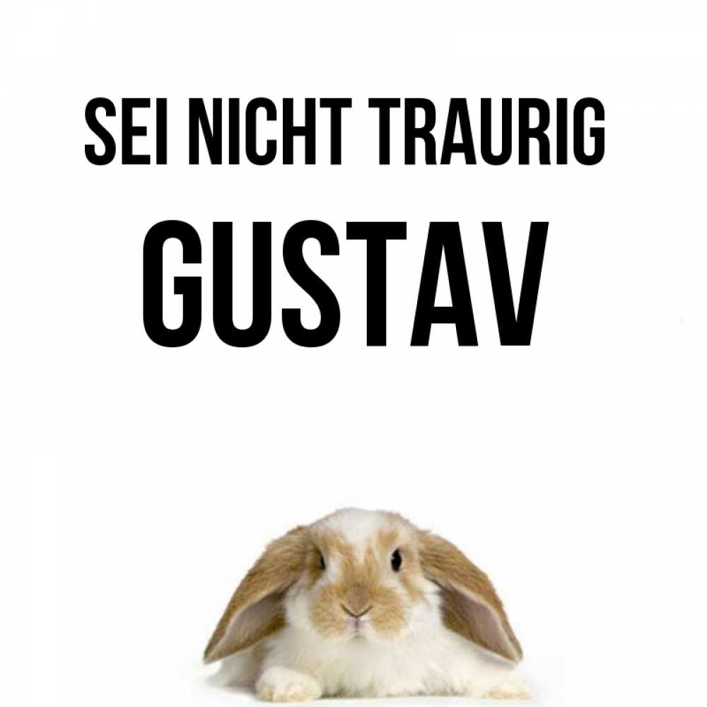 Открытка на каждый день с именем, Gustav Sei nicht traurig коричнево белый заяц с большими ушками Прикольная открытка с пожеланием онлайн скачать бесплатно 