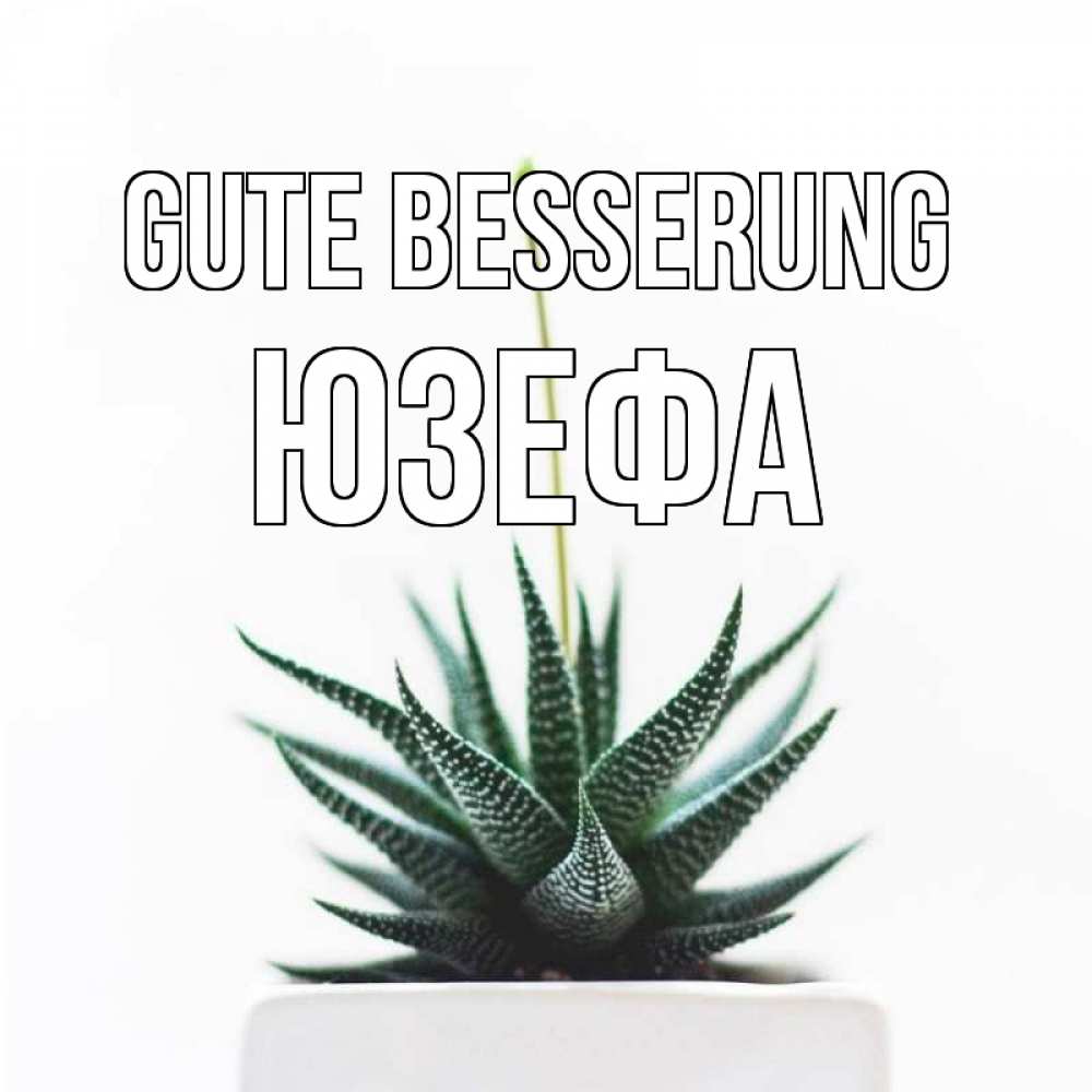 Открытка на каждый день с именем, Юзефа Gute Besserung короче это непонятная колючка Прикольная открытка с пожеланием онлайн скачать бесплатно 