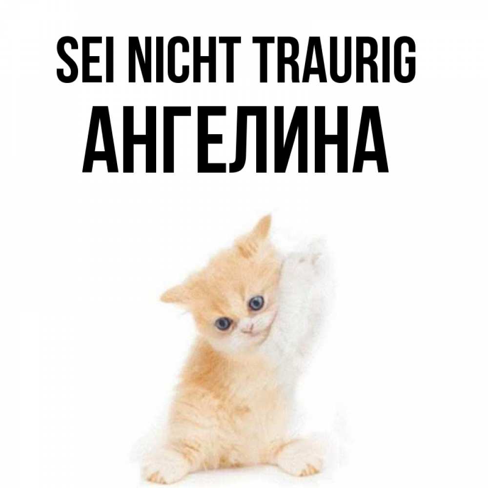 Открытка на каждый день с именем, Ангелина Sei nicht traurig просящий кот Прикольная открытка с пожеланием онлайн скачать бесплатно 