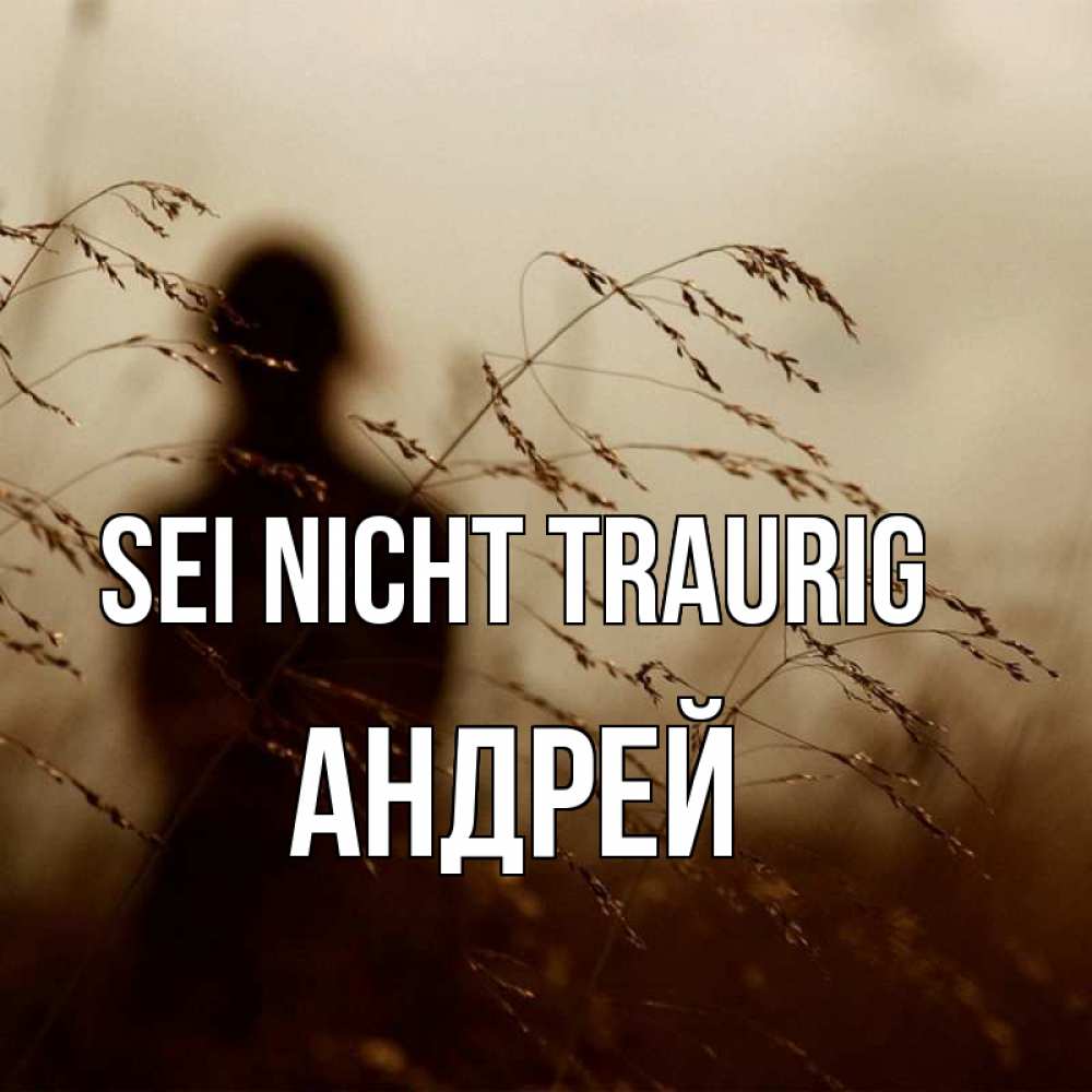 Открытка на каждый день с именем, Андрей Sei nicht traurig грусть Прикольная открытка с пожеланием онлайн скачать бесплатно 