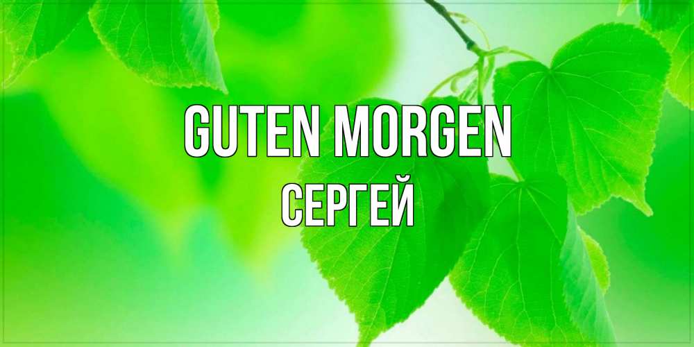 Открытка на каждый день с именем, Сергей Guten Morgen доброе утро с березовыми листьями Прикольная открытка с пожеланием онлайн скачать бесплатно 