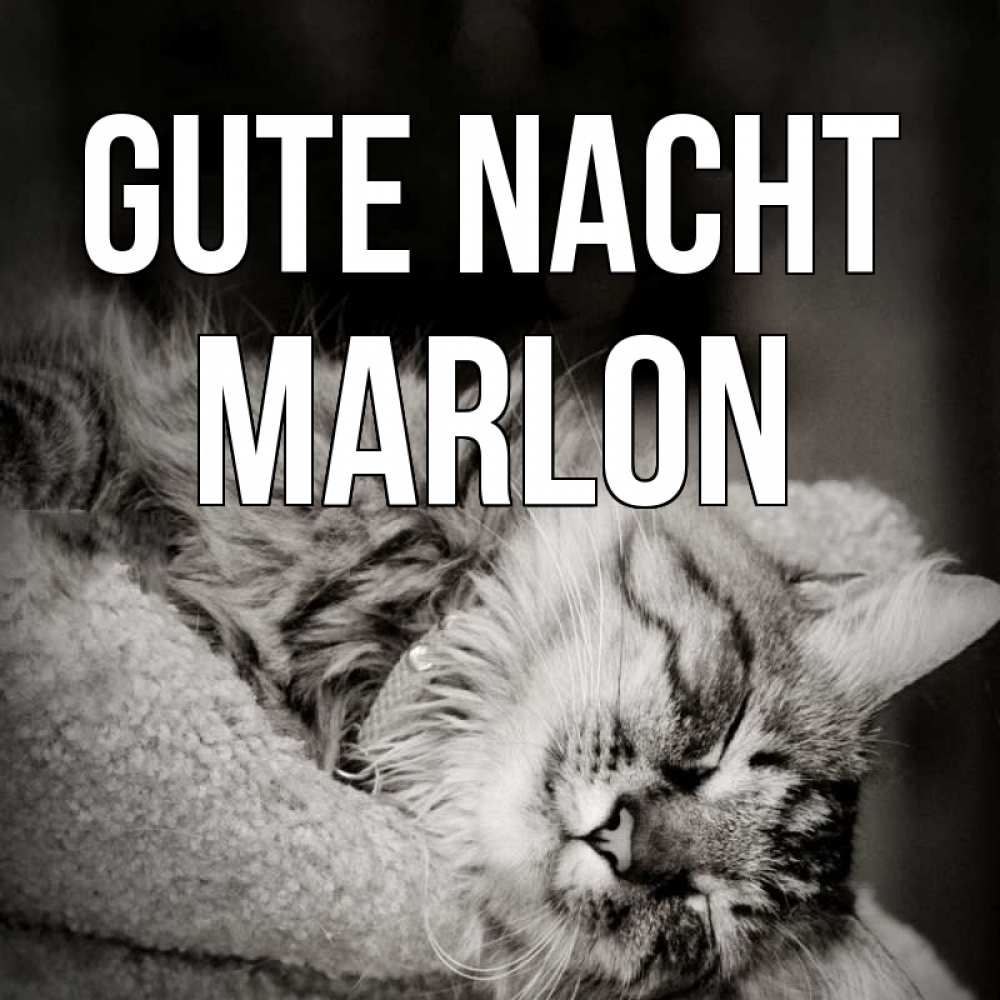 Открытка на каждый день с именем, Marlon Gute Nacht котярик пушистый Прикольная открытка с пожеланием онлайн скачать бесплатно 