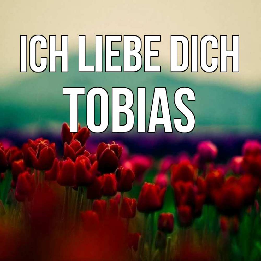 Открытка на каждый день с именем, Tobias Ich liebe dich тюльпаны 4 Прикольная открытка с пожеланием онлайн скачать бесплатно 