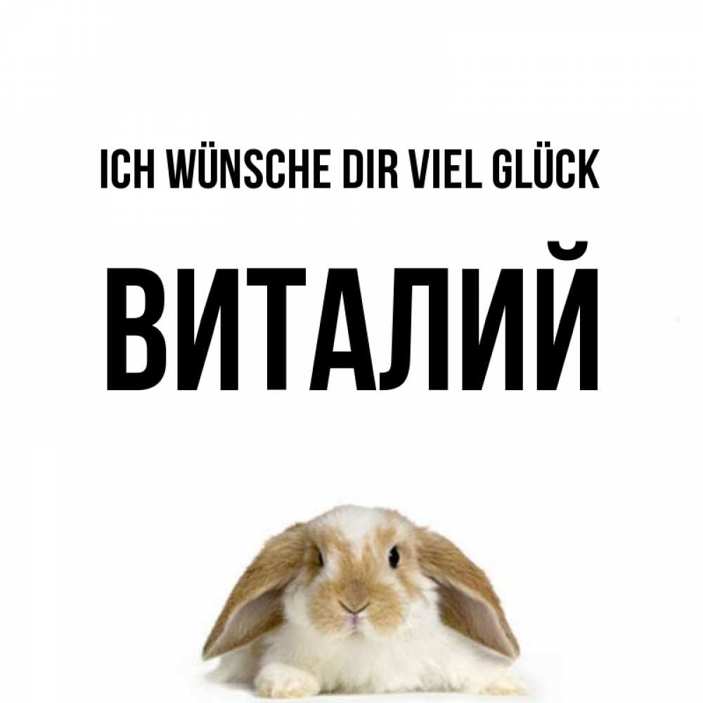 Открытка на каждый день с именем, Виталий Ich wünsche dir viel Glück открытки с произвольным текстом который можно вставить в открытку и создать ее самостоятельно бесплатно онлайн Прикольная открытка с пожеланием онлайн скачать бесплатно 