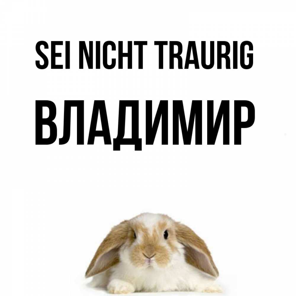 Открытка на каждый день с именем, Владимир Sei nicht traurig коричнево белый заяц с большими ушками Прикольная открытка с пожеланием онлайн скачать бесплатно 