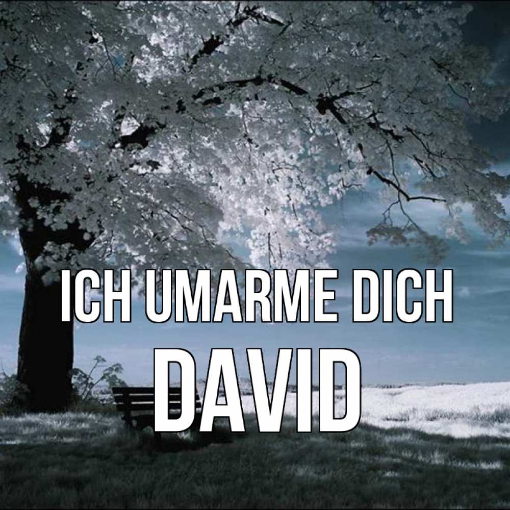 Открытка на каждый день с именем, David Ich umarme dich дерево Прикольная открытка с пожеланием онлайн скачать бесплатно 