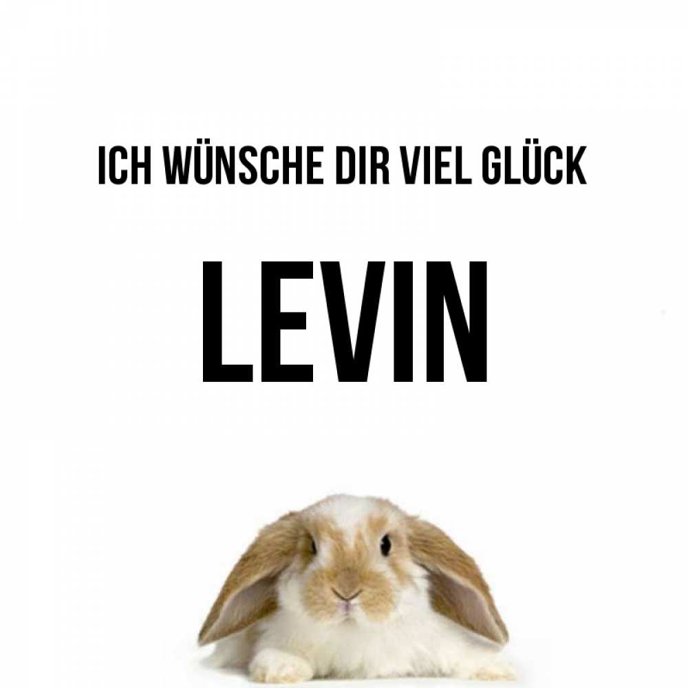 Открытка на каждый день с именем, Levin Ich wünsche dir viel Glück открытки с произвольным текстом который можно вставить в открытку и создать ее самостоятельно бесплатно онлайн Прикольная открытка с пожеланием онлайн скачать бесплатно 