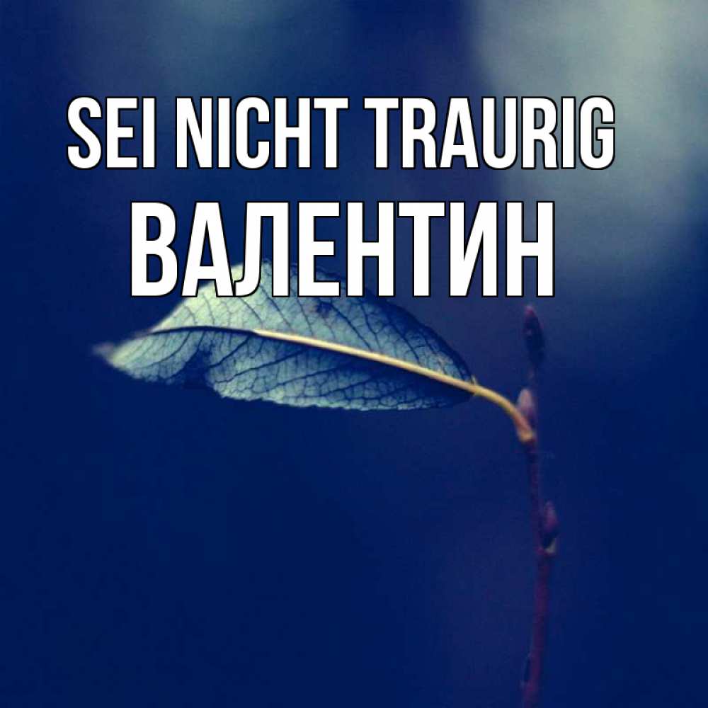 Открытка на каждый день с именем, Валентин Sei nicht traurig растение Прикольная открытка с пожеланием онлайн скачать бесплатно 