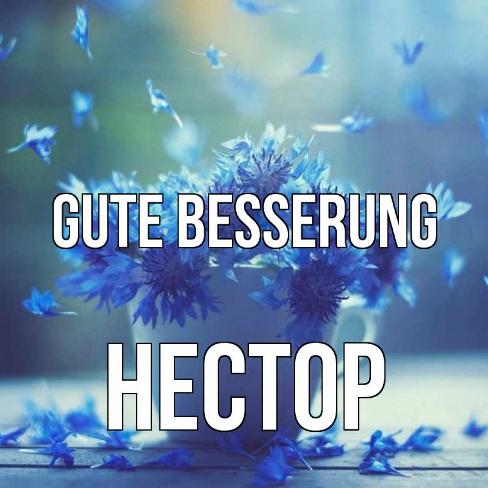 Открытка на каждый день с именем, Нестор Gute Besserung кружка с зельем и цветами Прикольная открытка с пожеланием онлайн скачать бесплатно 